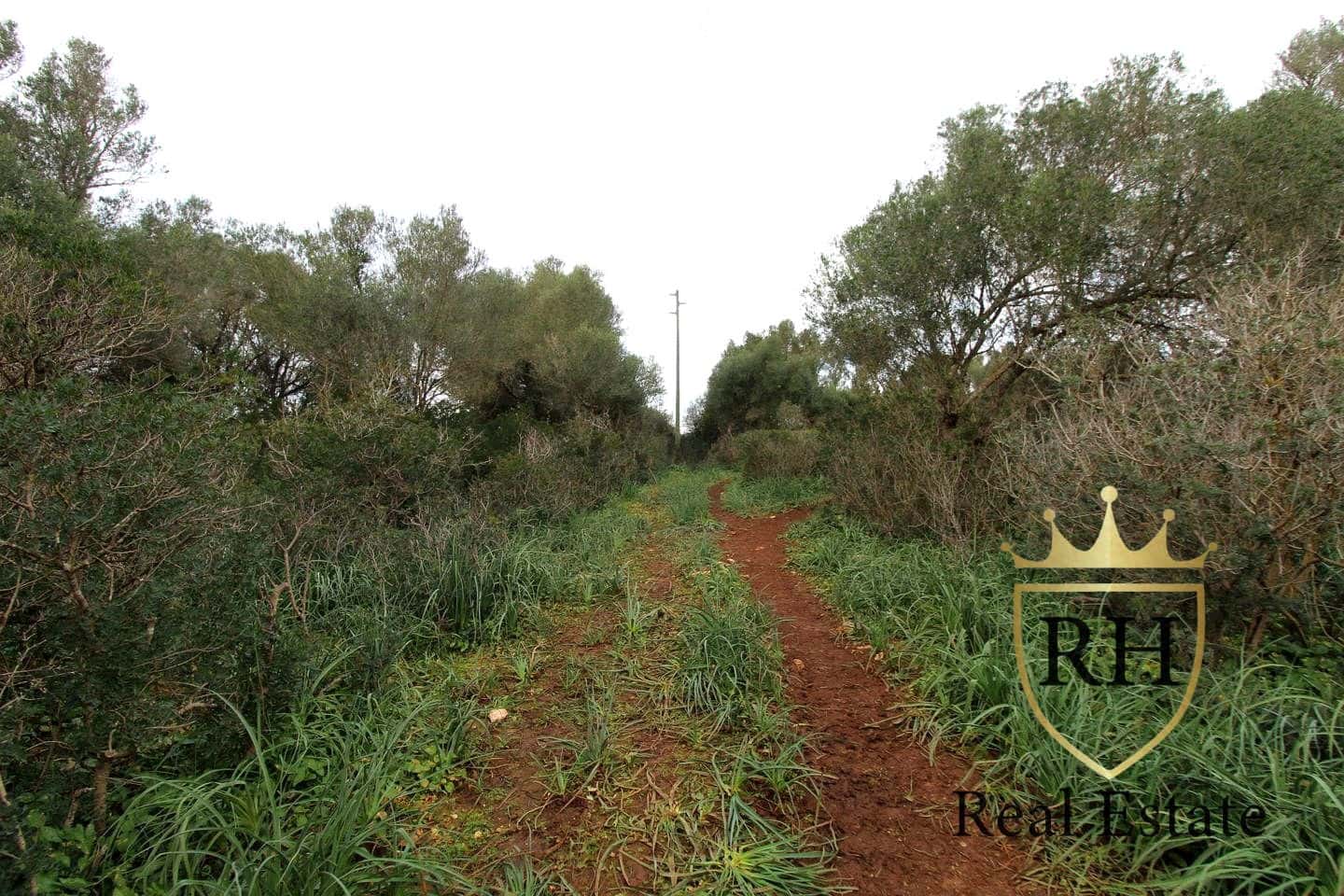 Ubebygd land til salgs i Felanitx - € 790 000 (Ref: 8779801)