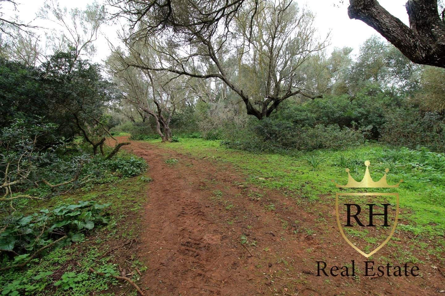 Ubebygd land til salgs i Felanitx - € 790 000 (Ref: 8779801)