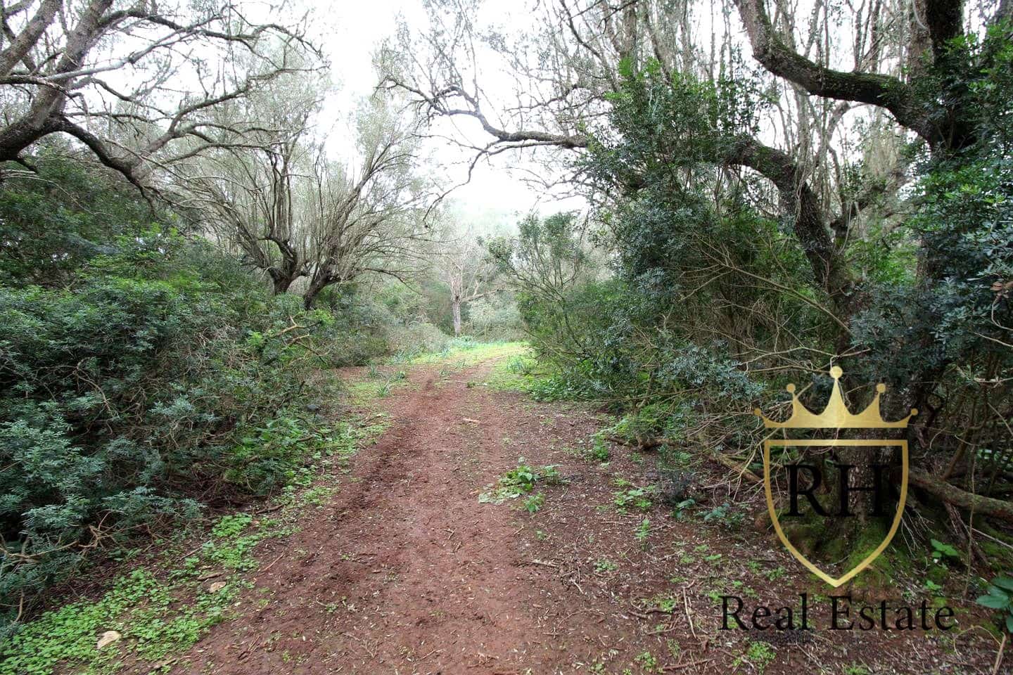 Ubebygd land til salgs i Felanitx - € 790 000 (Ref: 8779801)