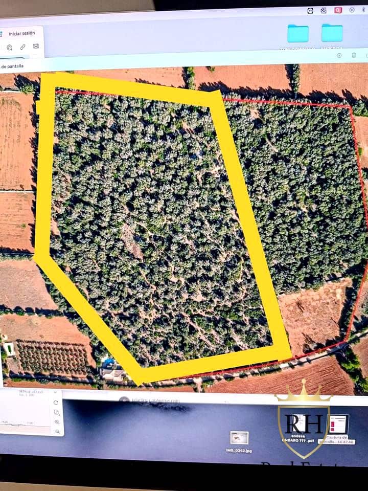 Ubebygd land til salgs i Felanitx - € 790 000 (Ref: 8779801)