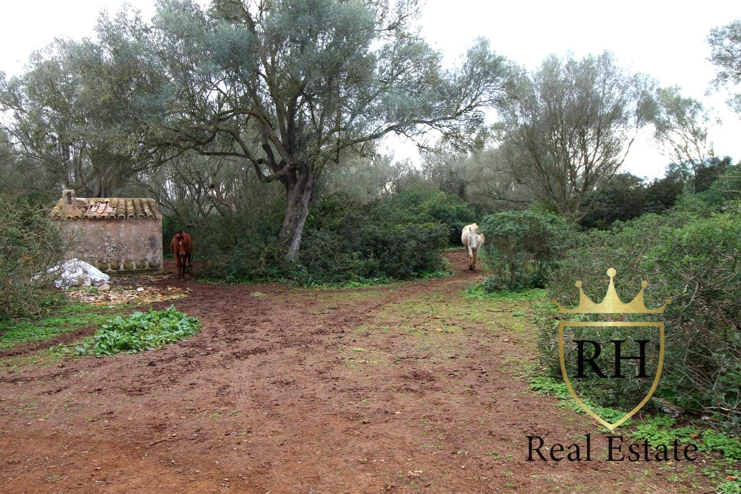 Ubebygd land til salgs i Felanitx - € 790 000 (Ref: 8779801)