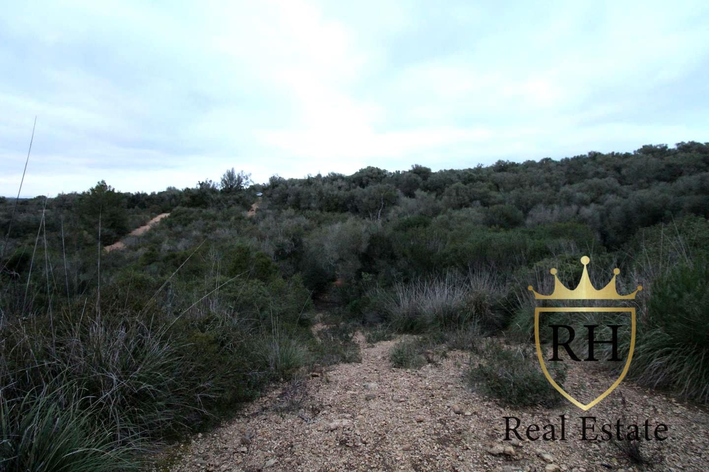 Ubebygd land til salgs i Felanitx - € 790 000 (Ref: 8779801)