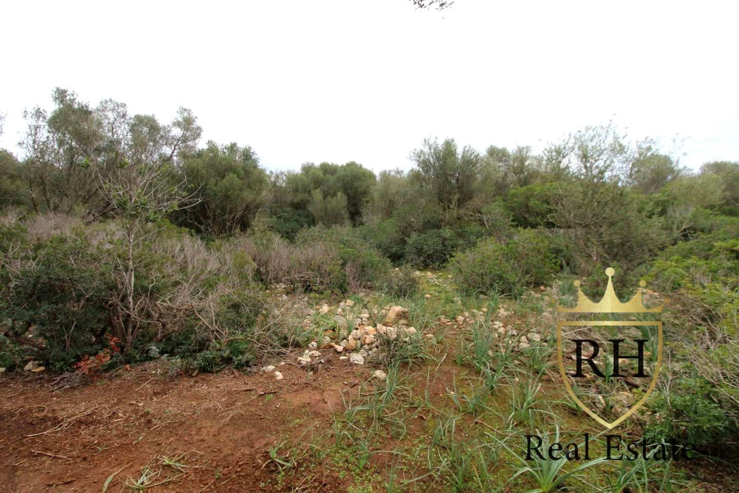 Ubebygd land til salgs i Felanitx - € 790 000 (Ref: 8779801)