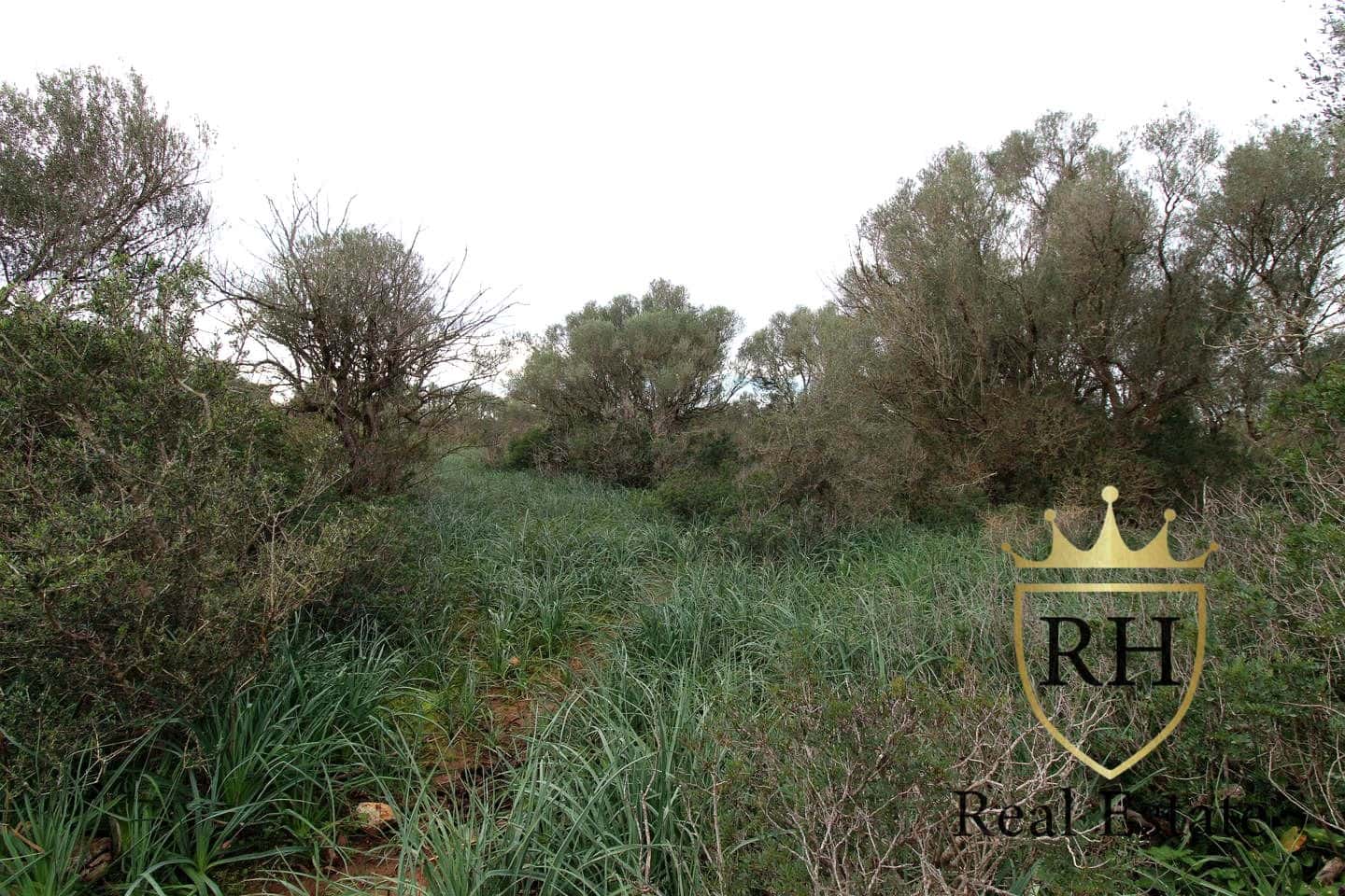 Ubebygd land til salgs i Felanitx - € 790 000 (Ref: 8779801)