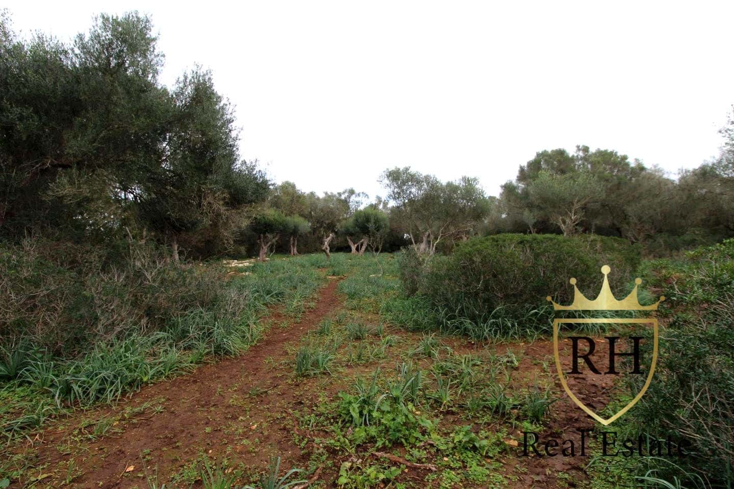 Ubebygd land til salgs i Felanitx - € 790 000 (Ref: 8779801)