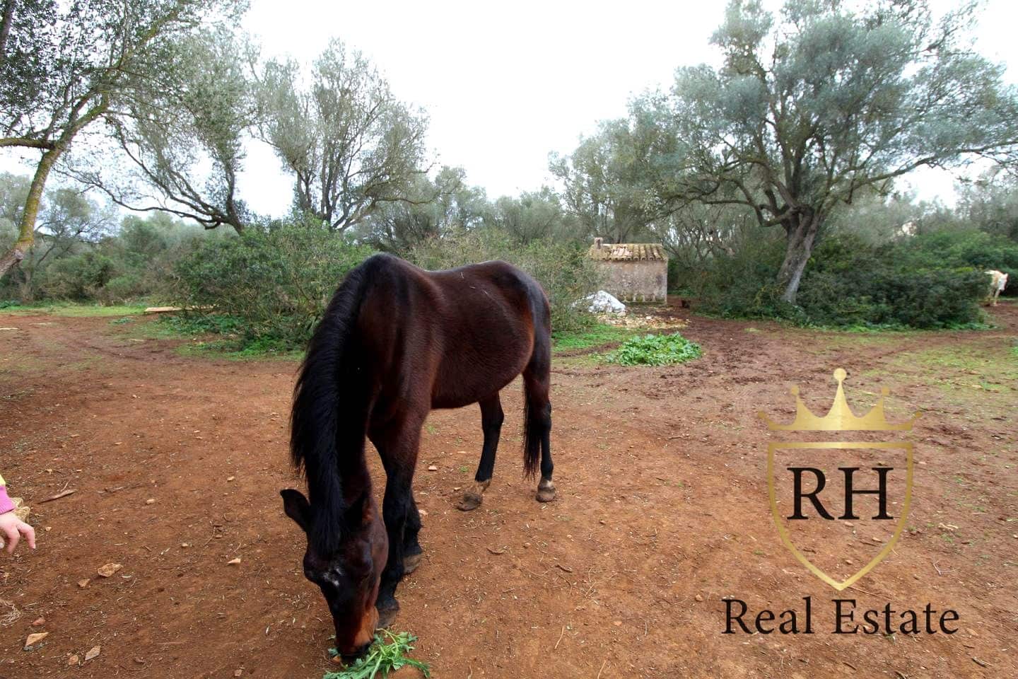 Ubebygd land til salgs i Felanitx - € 790 000 (Ref: 8779801)