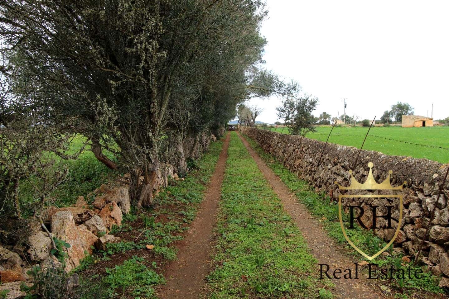 Ubebygd land til salgs i Felanitx - € 790 000 (Ref: 8779801)