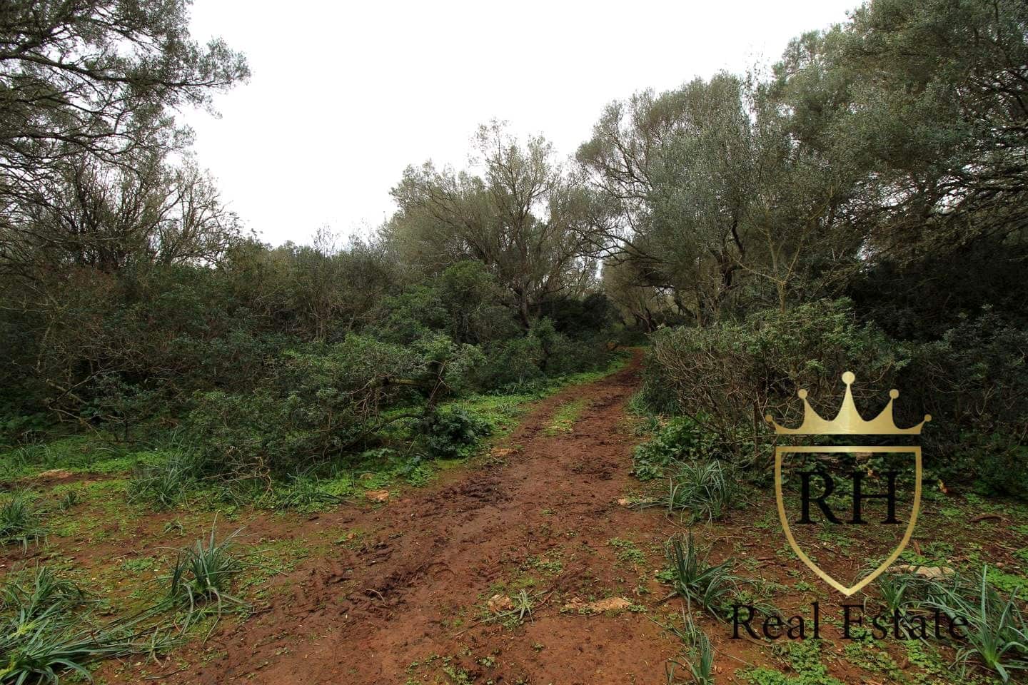 Ubebygd land til salgs i Felanitx - € 790 000 (Ref: 8779801)