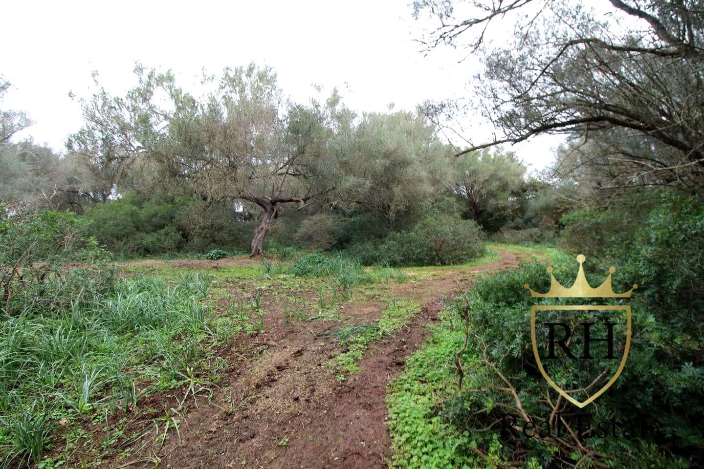 Ubebygd land til salgs i Felanitx - € 790 000 (Ref: 8779801)