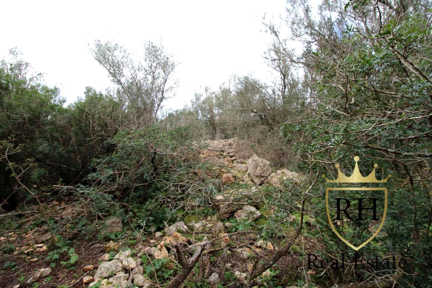 Ubebygd land til salgs i Felanitx - € 790 000 (Ref: 8779801)