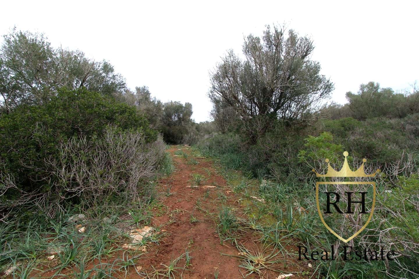 Ubebygd land til salgs i Felanitx - € 790 000 (Ref: 8779801)