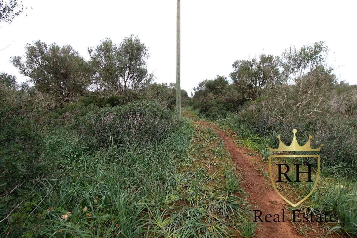 Ubebygd land til salgs i Felanitx - € 790 000 (Ref: 8779801)