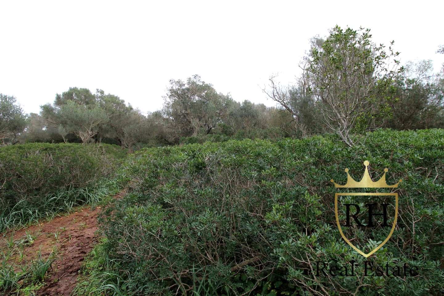 Ubebygd land til salgs i Felanitx - € 790 000 (Ref: 8779801)