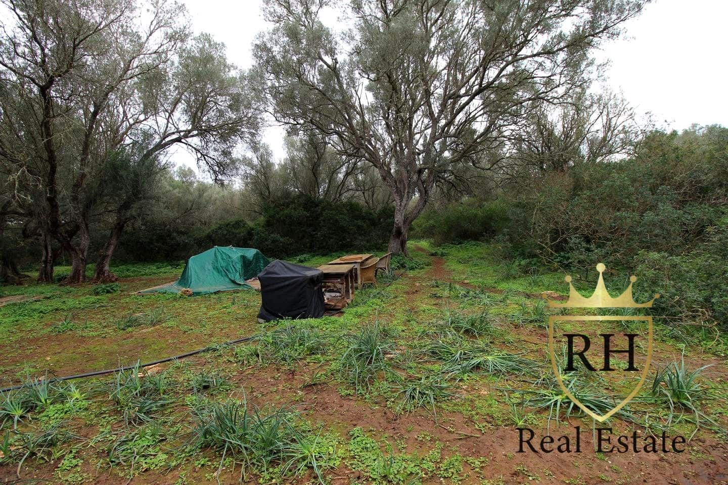 Ubebygd land til salgs i Felanitx - € 790 000 (Ref: 8779801)