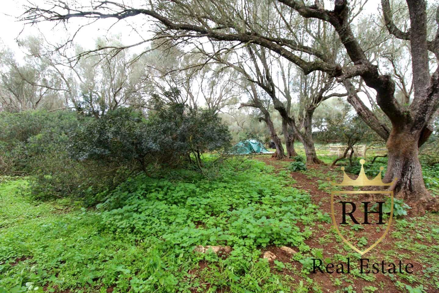 Ubebygd land til salgs i Felanitx - € 790 000 (Ref: 8779801)