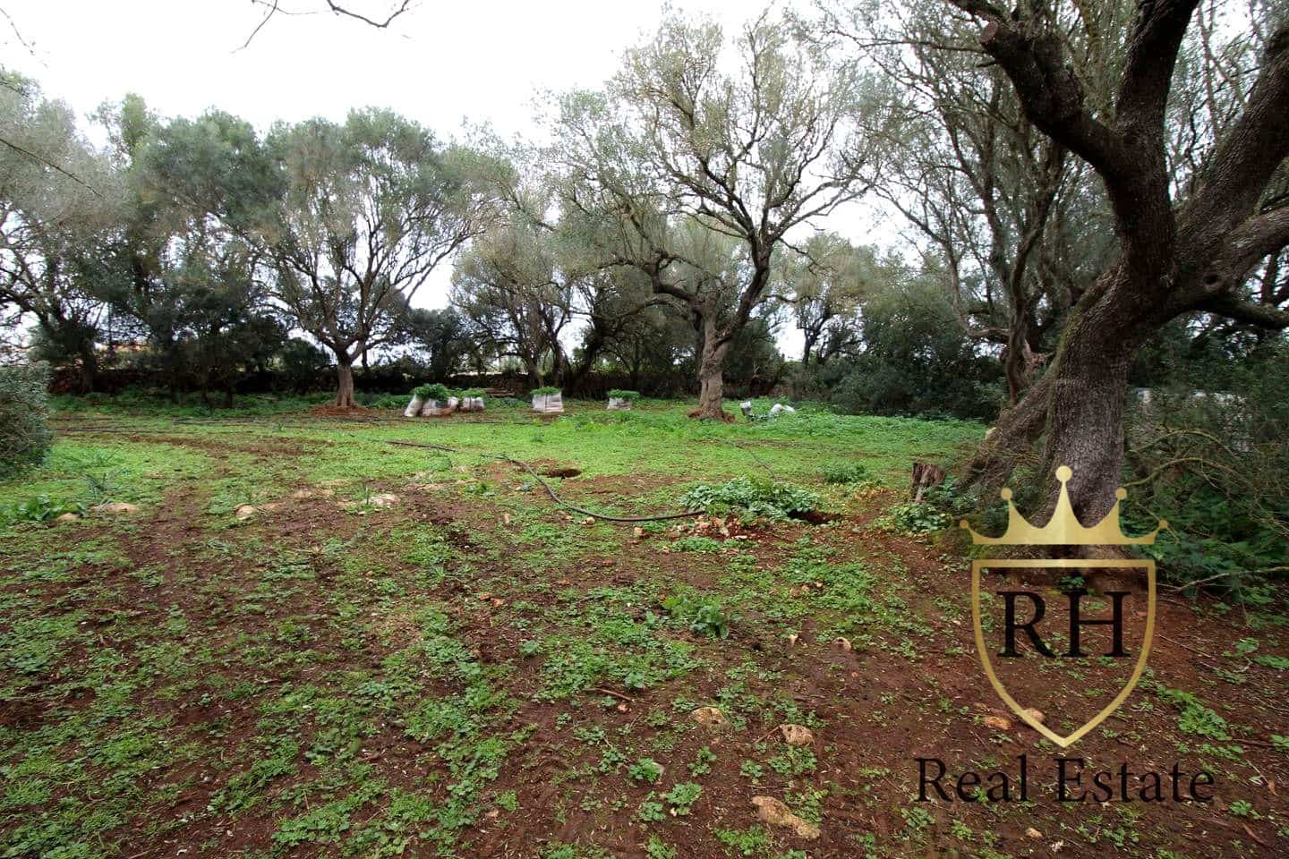 Ubebygd land til salgs i Felanitx - € 790 000 (Ref: 8779801)