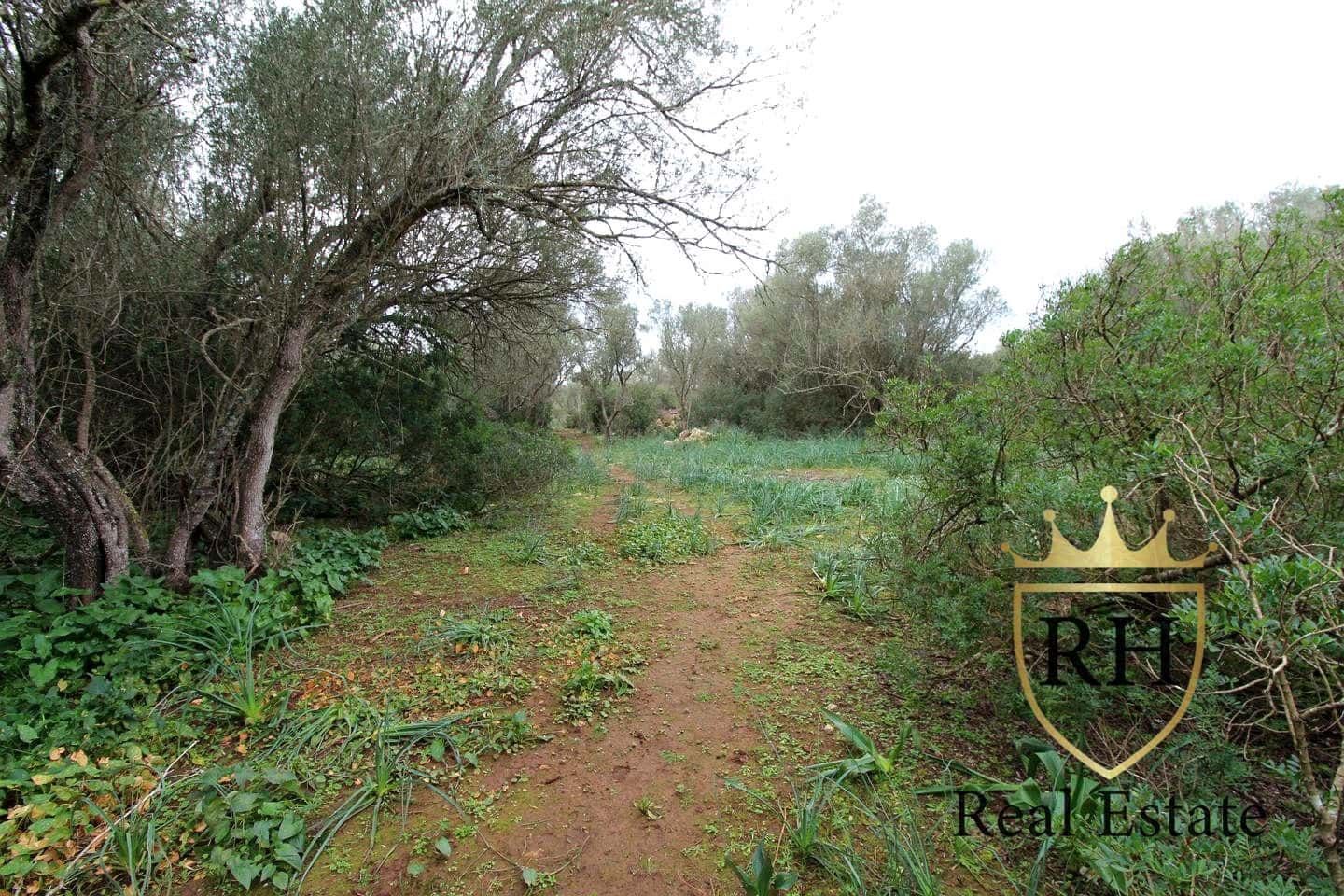 Ubebygd land til salgs i Felanitx - € 790 000 (Ref: 8779801)