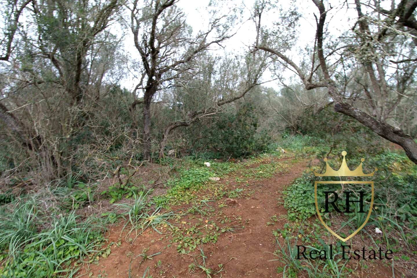 Ubebygd land til salgs i Felanitx - € 790 000 (Ref: 8779801)