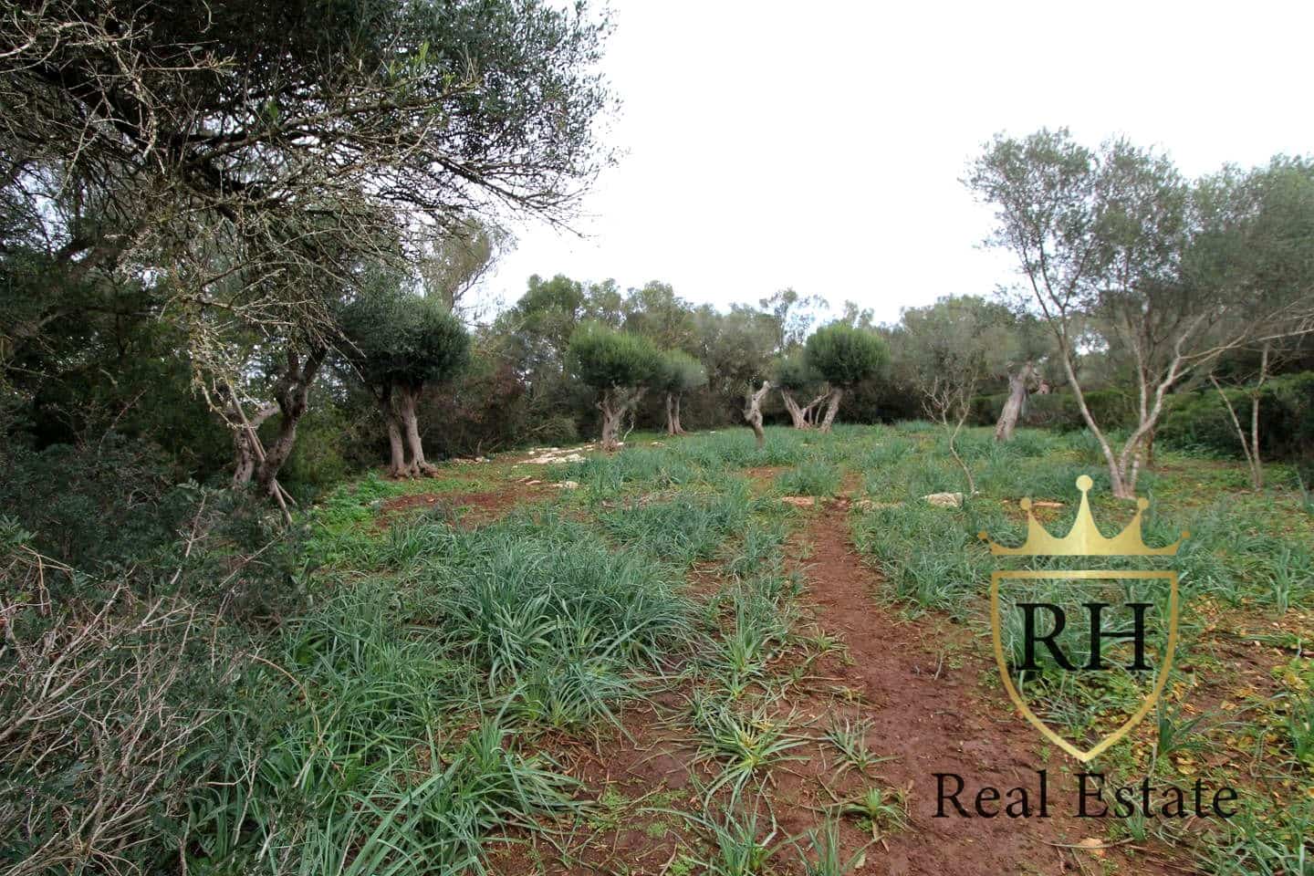 Ubebygd land til salgs i Felanitx - € 790 000 (Ref: 8779801)