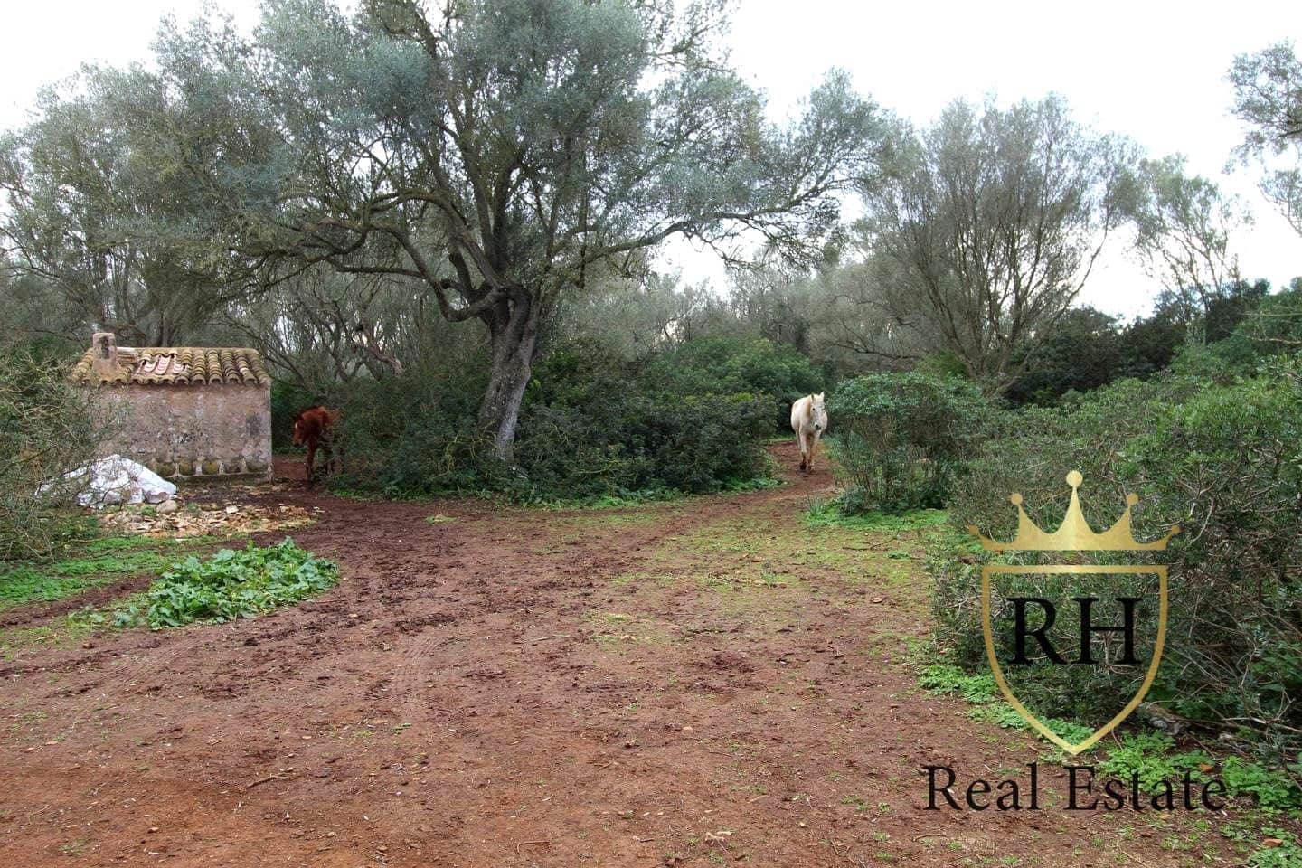 Ubebygd land til salgs i Felanitx - € 790 000 (Ref: 8779801)