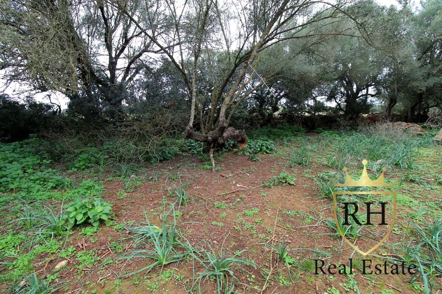 Ubebygd land til salgs i Felanitx - € 790 000 (Ref: 8779801)