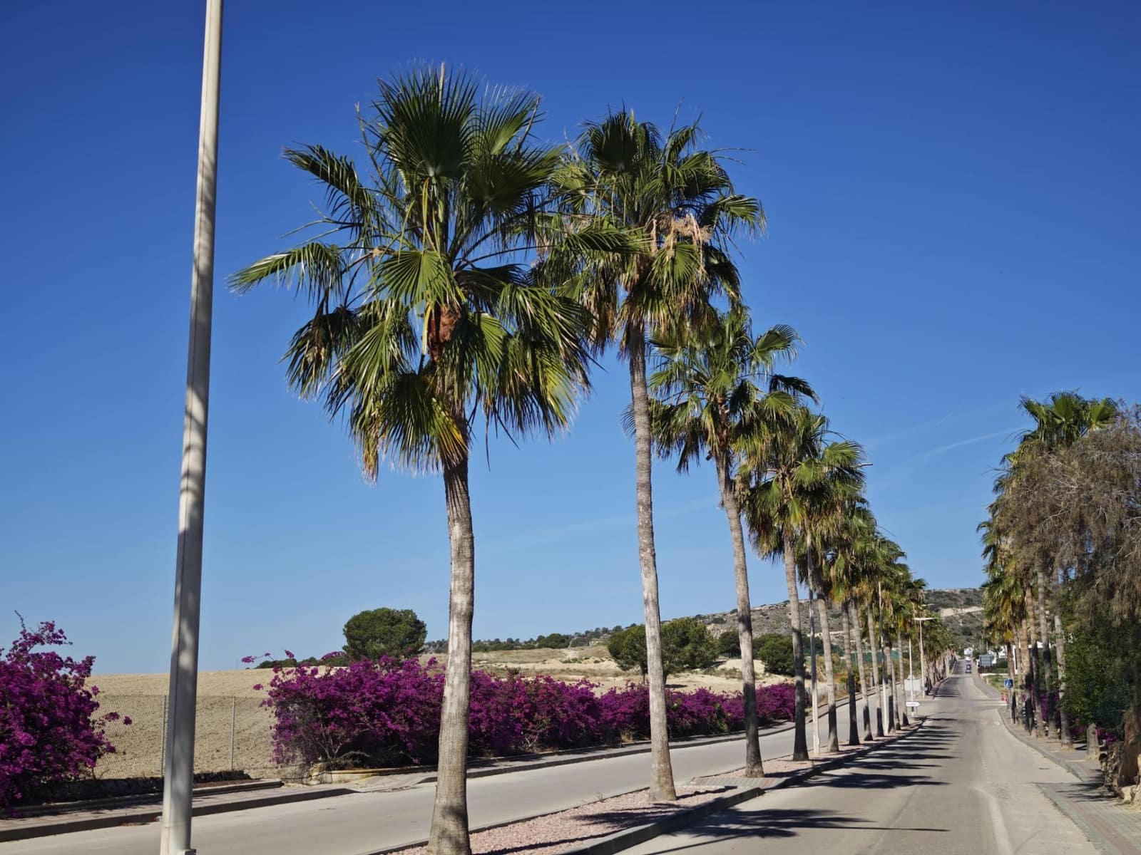 4 bedroom Villa for sale in Algorfa - € 449,995 (Ref: 10007245)