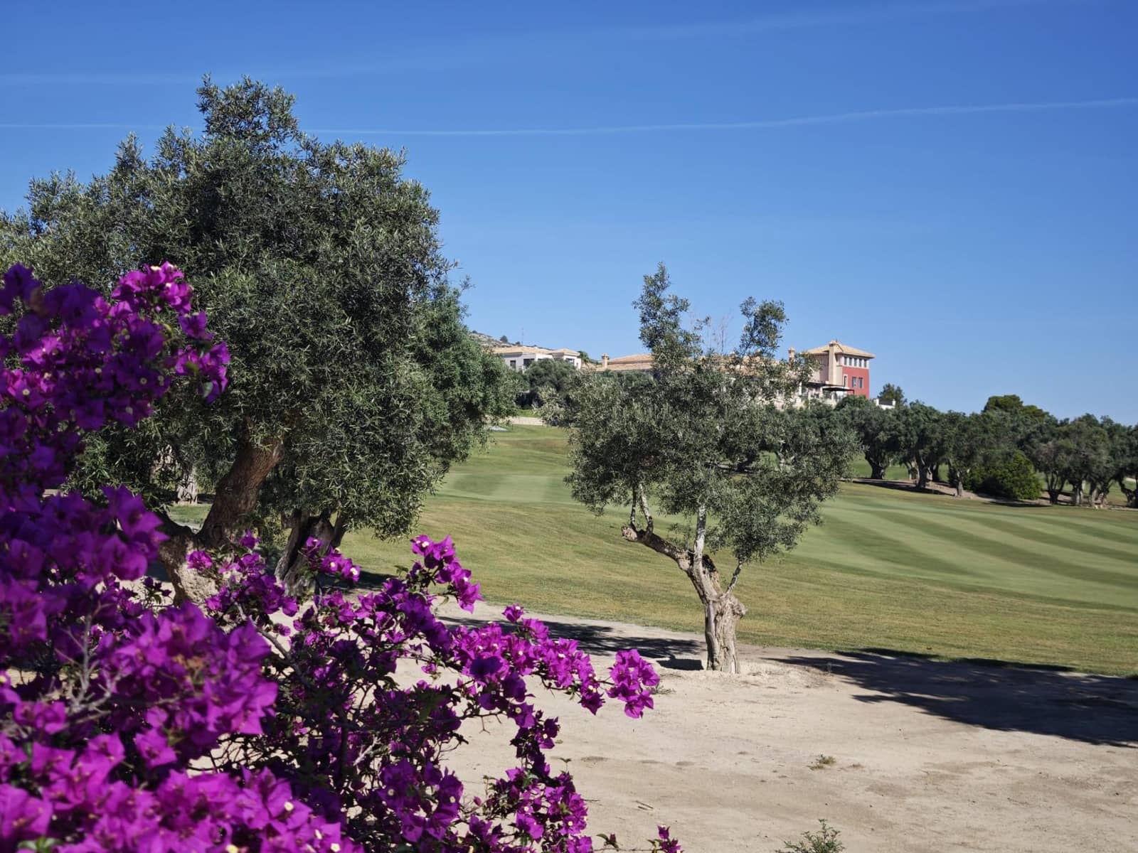 4 bedroom Villa for sale in Algorfa - € 449,995 (Ref: 10007245)