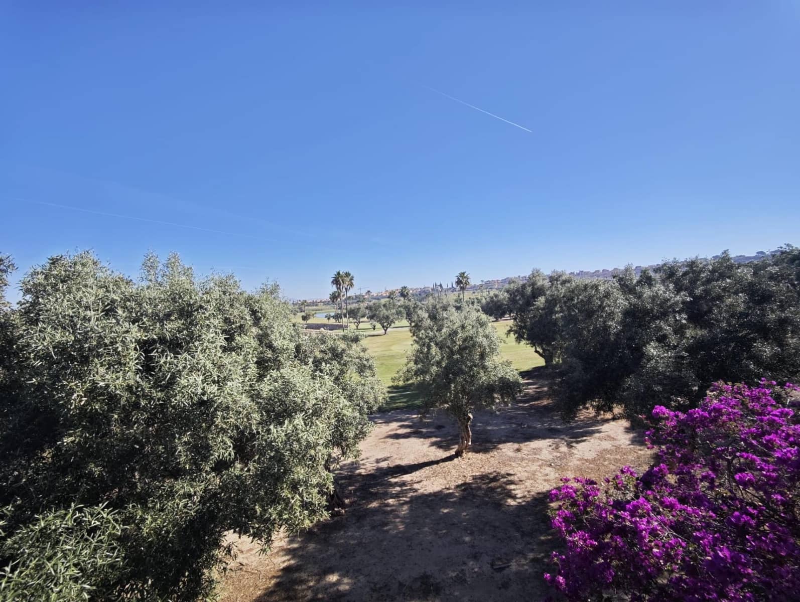 4 bedroom Villa for sale in Algorfa - € 449,995 (Ref: 10007245)