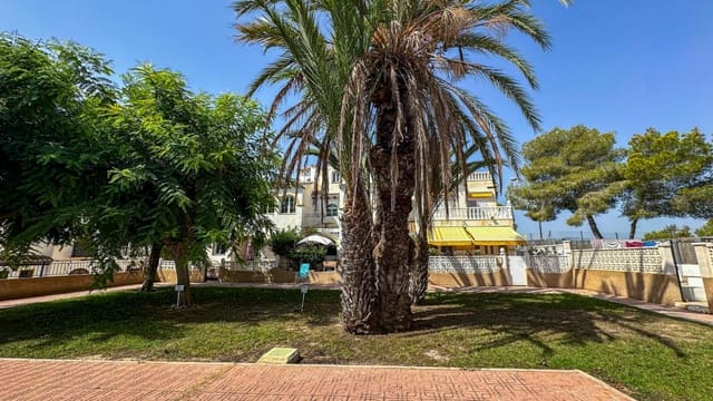 1 bedroom Bungalow for sale in San Miguel de Salinas - € 105,000 (Ref: 10015740)