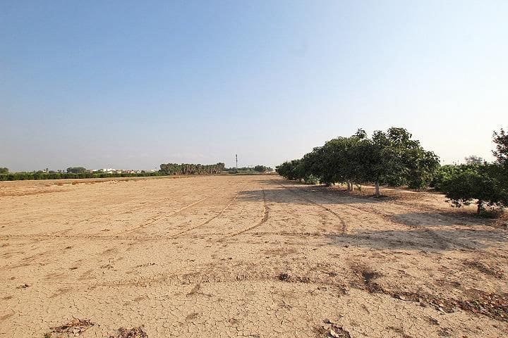 2 soverom Finca/Herregård til salgs i Daya Nueva med svømmebasseng - € 530 250 (Ref: 10035520)