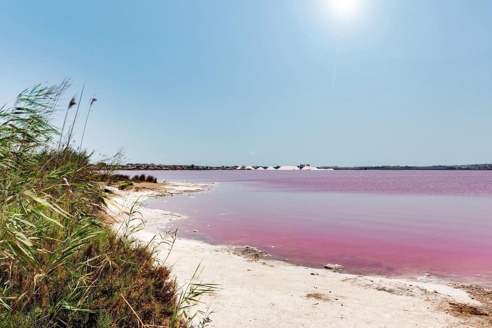 1 bedroom Bungalow for sale in Torrevieja - € 119,999 (Ref: 10035526)
