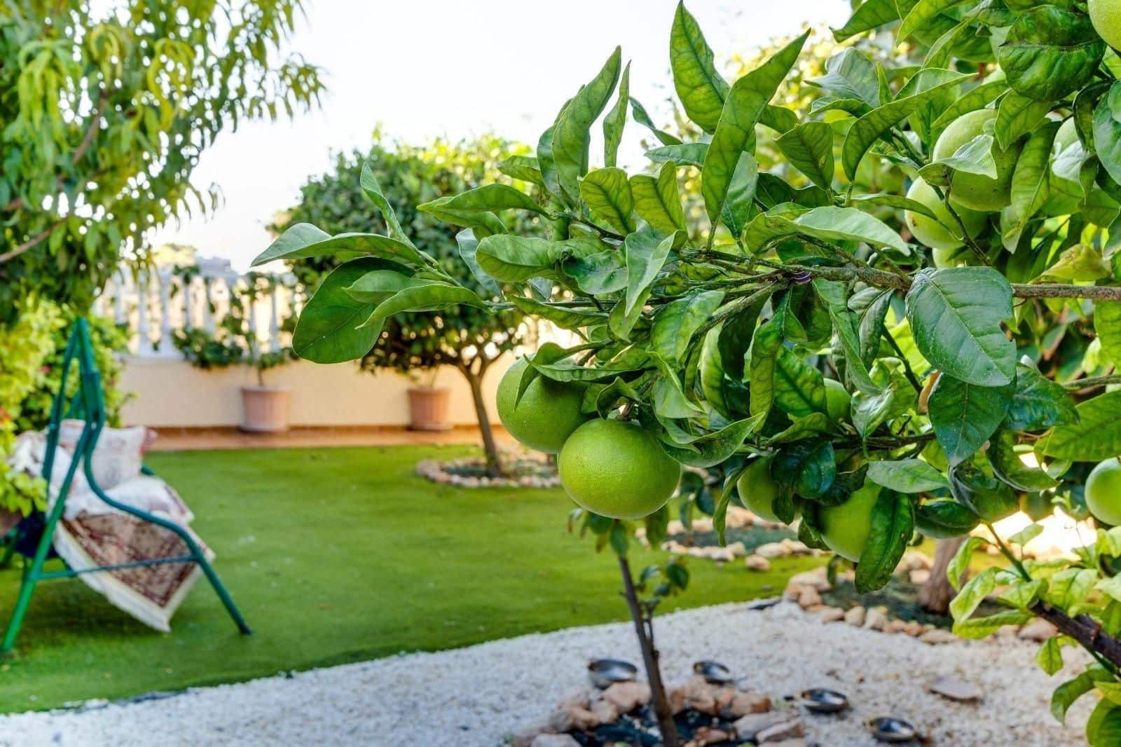 2 bedroom Villa for sale in Orihuela Costa with pool garage - € 198,000 (Ref: 10062172)