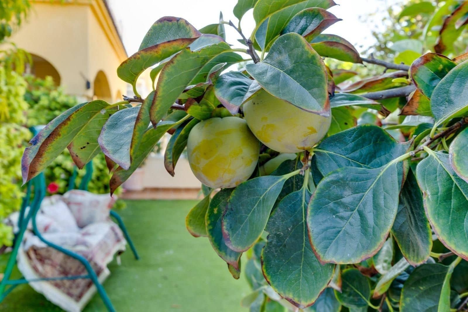 2 bedroom Villa for sale in Orihuela Costa with pool garage - € 198,000 (Ref: 10062172)