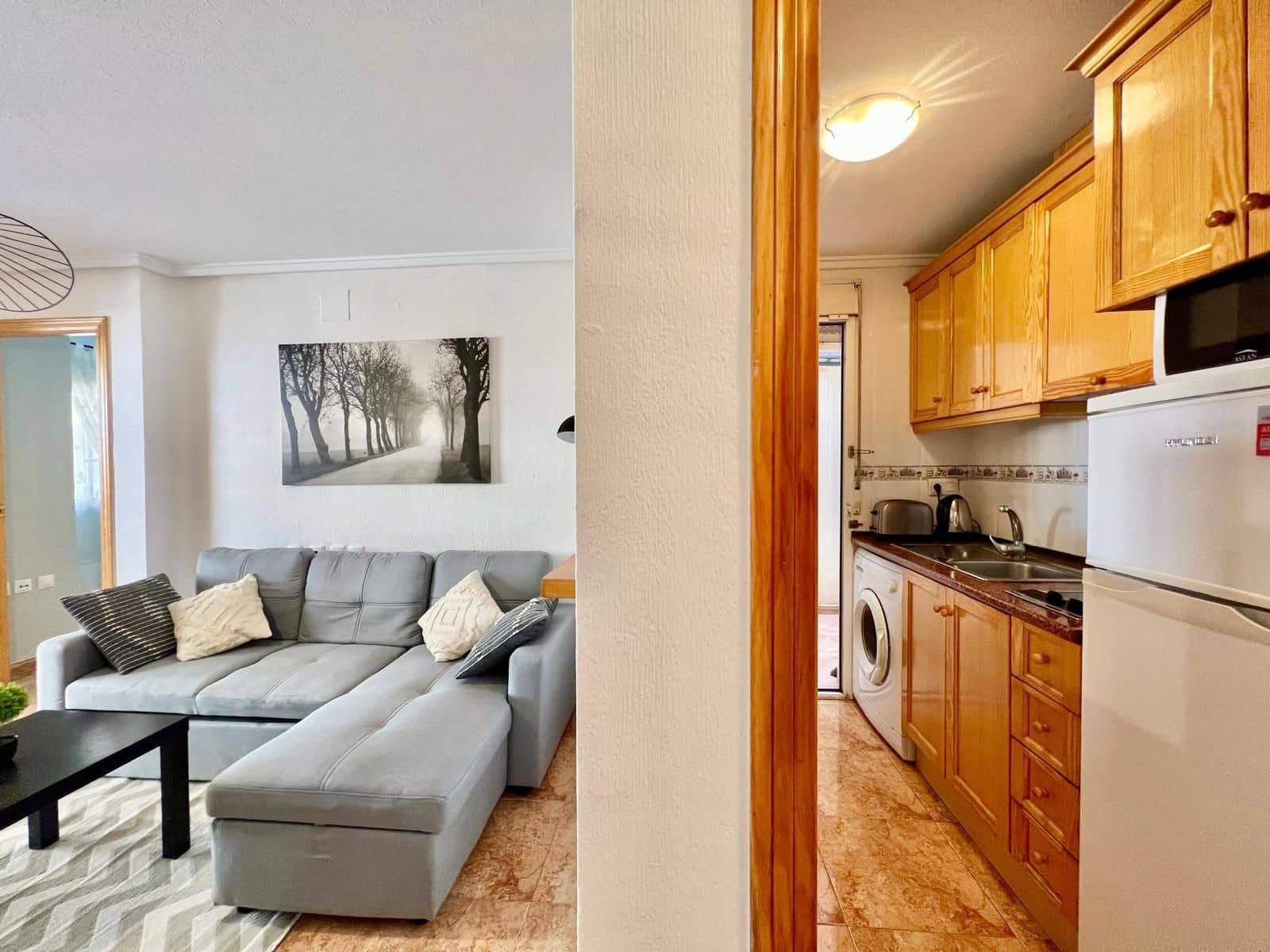 1 Zimmer Apartment zu verkaufen in Torrevieja - 126.900 € (Ref: 10089896)