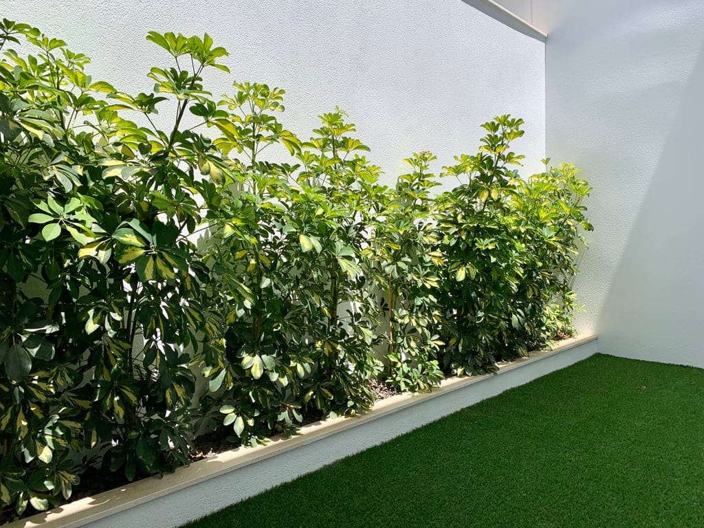 3 bedroom Villa for sale in San Javier with pool garage € 364,900