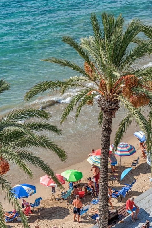 Apartamento de 3 habitaciones en Torrevieja en venta con garaje - 475.000 € (Ref: 9311075)