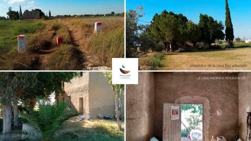 1 camera da letto Finca/Casa di Campagna in vendita in Callosa de Segura - 260.000 € (Rif: 9396204)