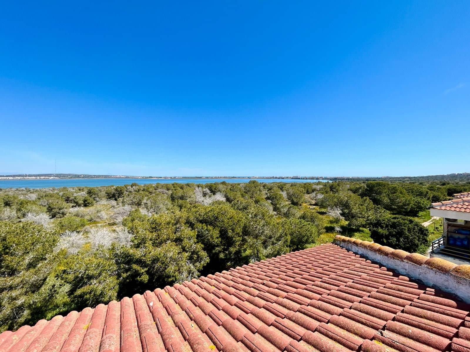 1 bedroom Apartment for sale in Torrevieja - € 74,000 (Ref: 9744164)