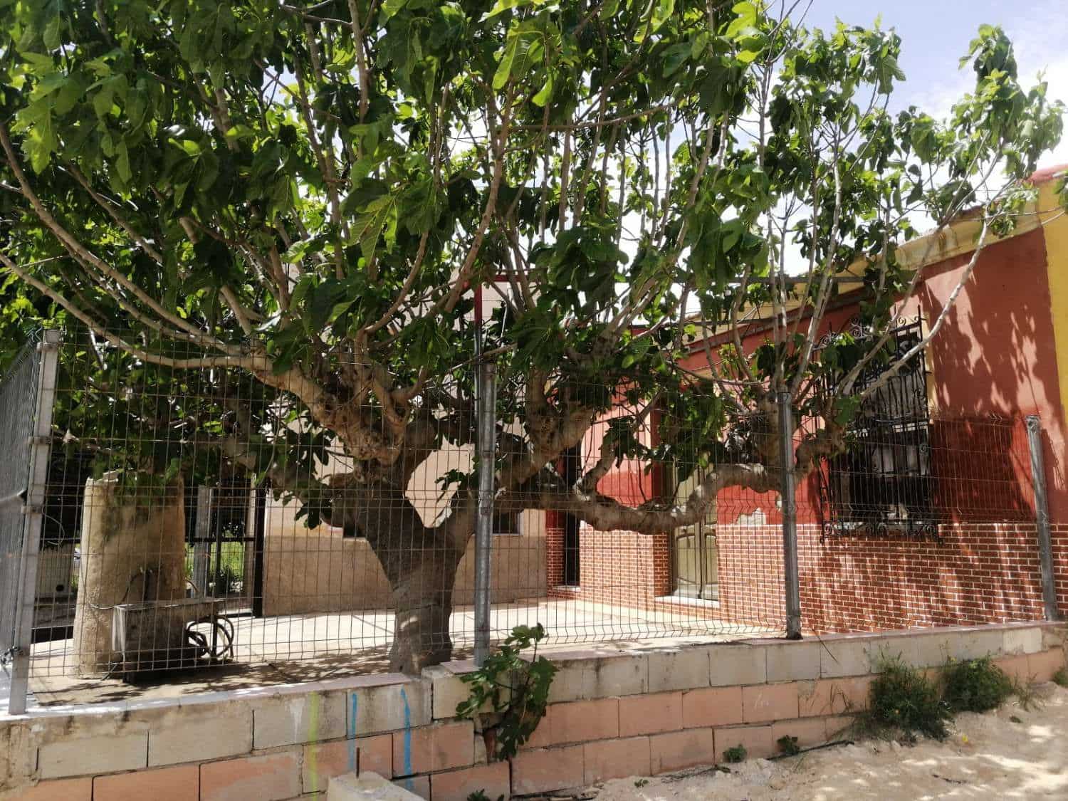 3 sovrum Villa till salu i Orihuela - 175 000 € (Ref: 9752197)