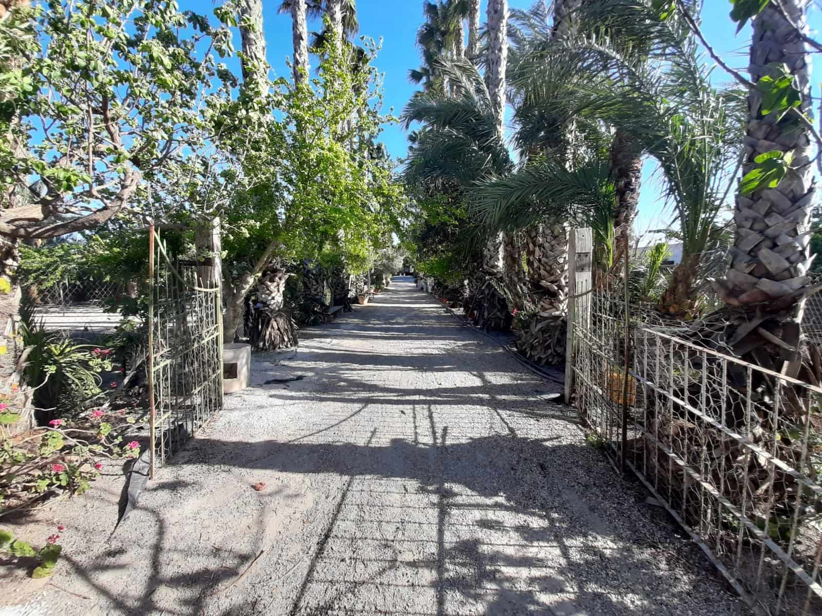 8 soverom Finca/Herregård til salgs i Orihuela med svømmebasseng - € 1 700 000 (Ref: 9752217)