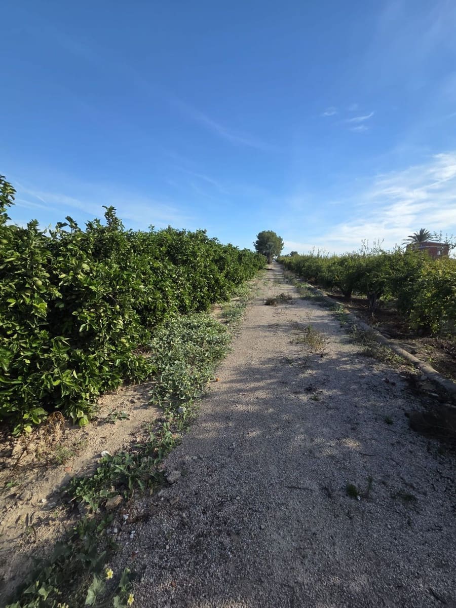 Finca/Casa di Campagna in vendita in Albatera - 175.000 € (Rif: 9752218)