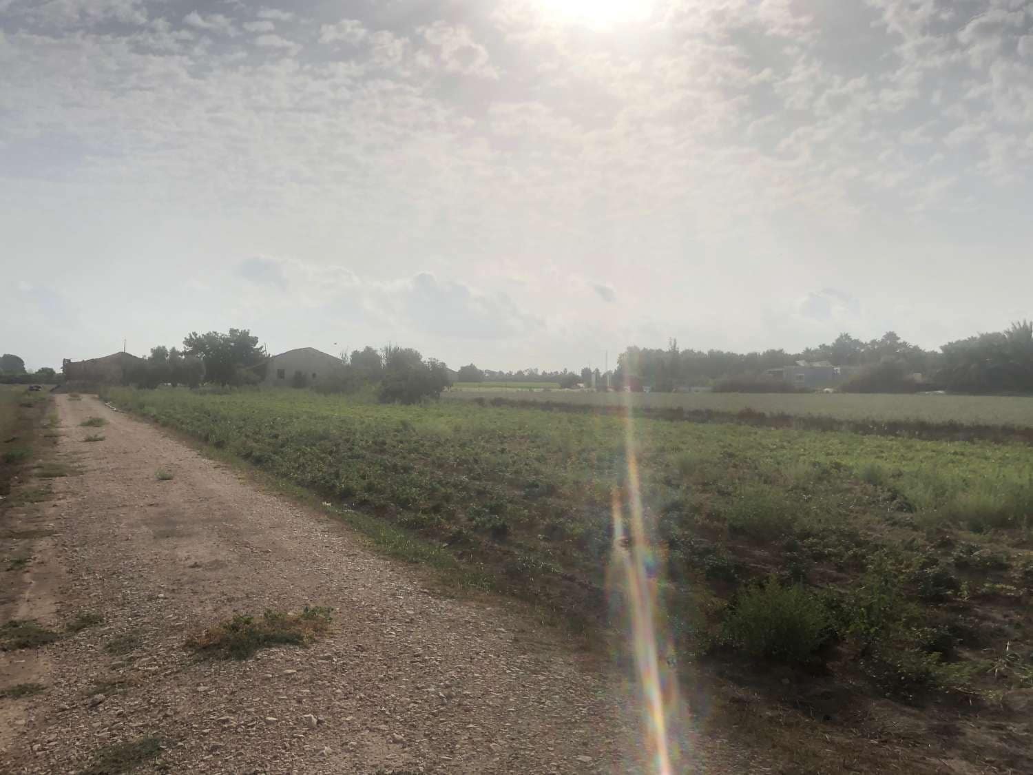 Finca/Landgut zu verkaufen in Callosa de Segura - 89.900 € (Ref: 9752226)