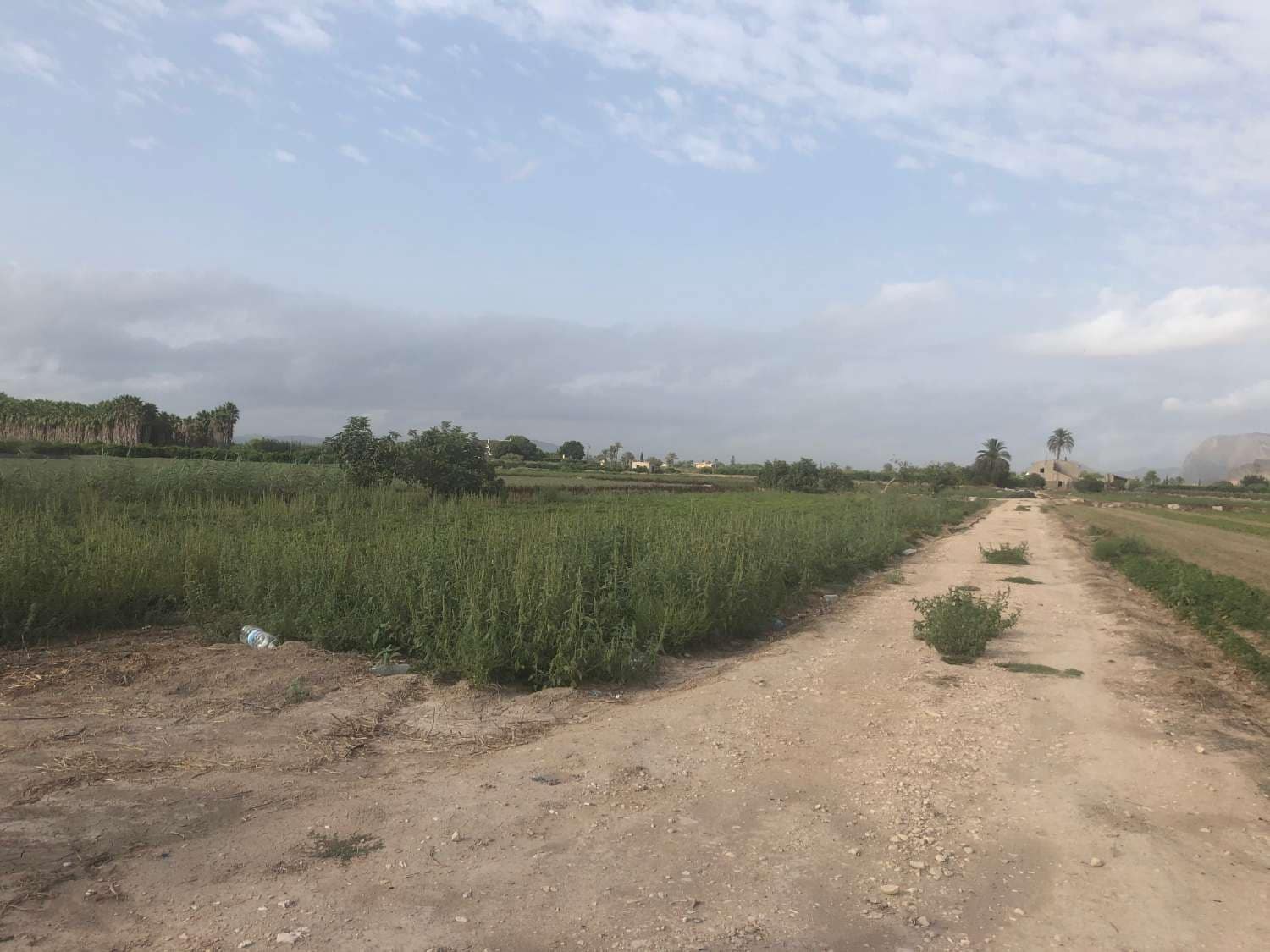 Finca/Landgut zu verkaufen in Callosa de Segura - 89.900 € (Ref: 9752226)