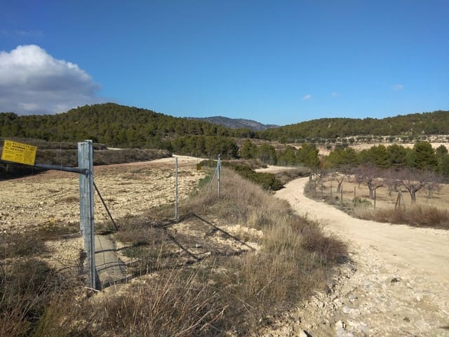 Finca/Casa di Campagna in vendita in Mula - 550.000 € (Rif: 9752231)