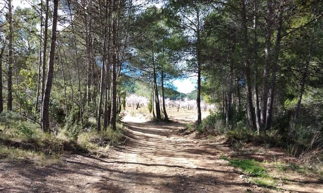 Finca/Casa di Campagna in vendita in Mula - 550.000 € (Rif: 9752231)