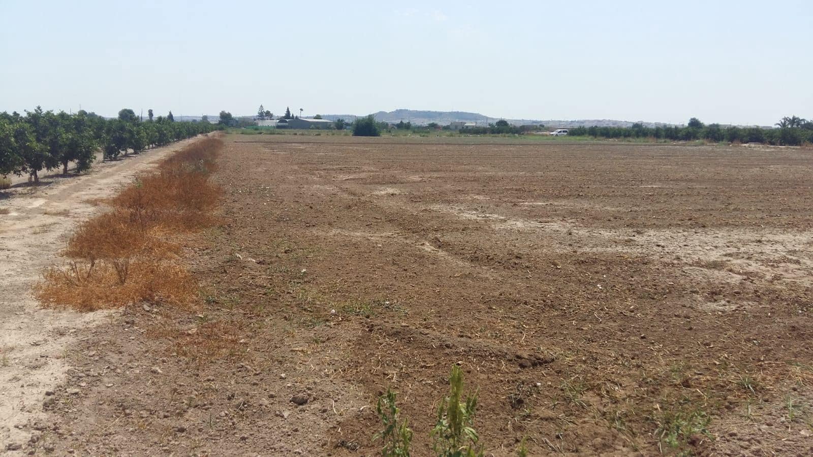 3 slaapkamer Finca/Landhuis te koop in Daya Nueva - € 347.000 (Ref: 9752232)