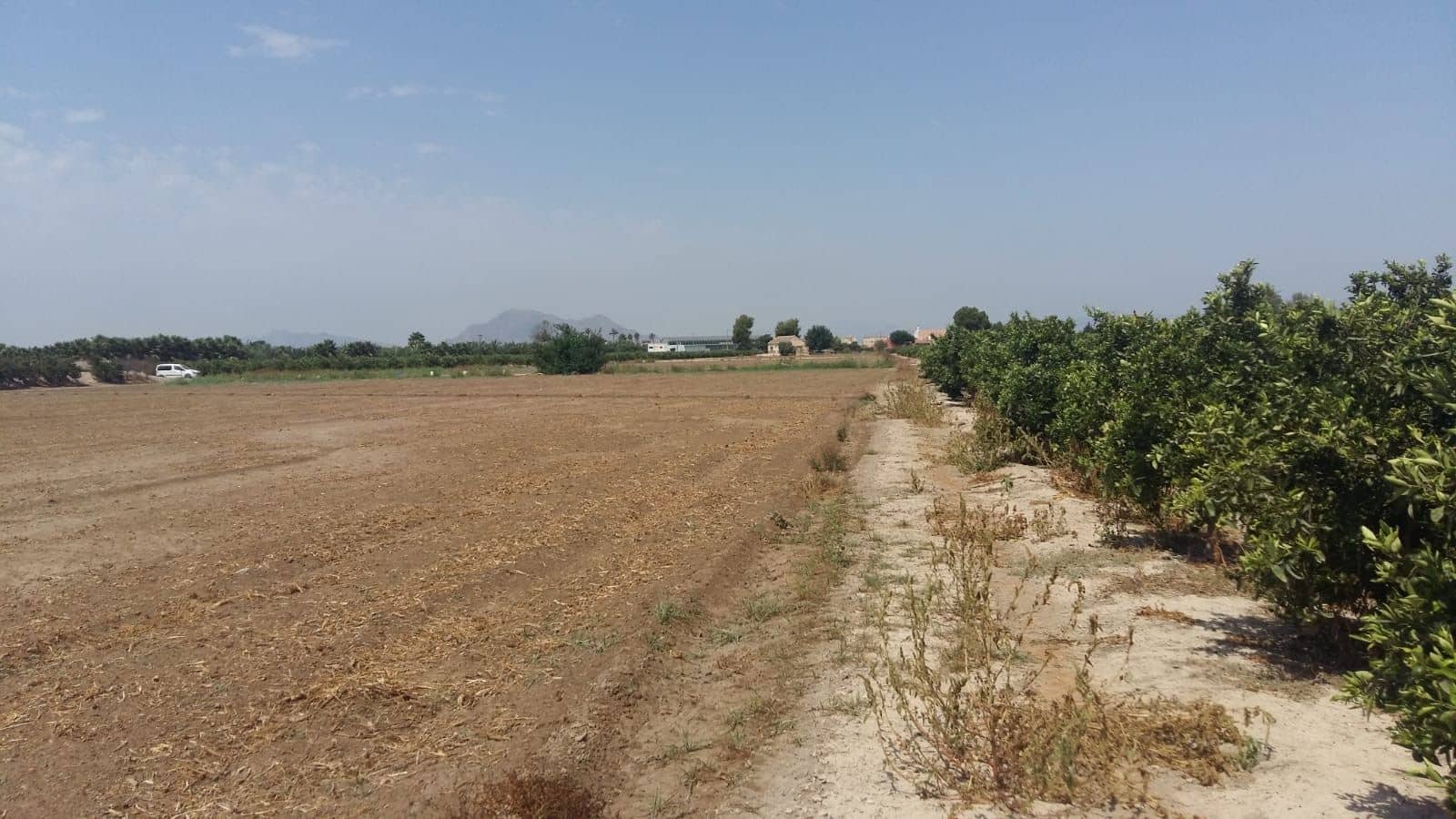 3 slaapkamer Finca/Landhuis te koop in Daya Nueva - € 347.000 (Ref: 9752232)