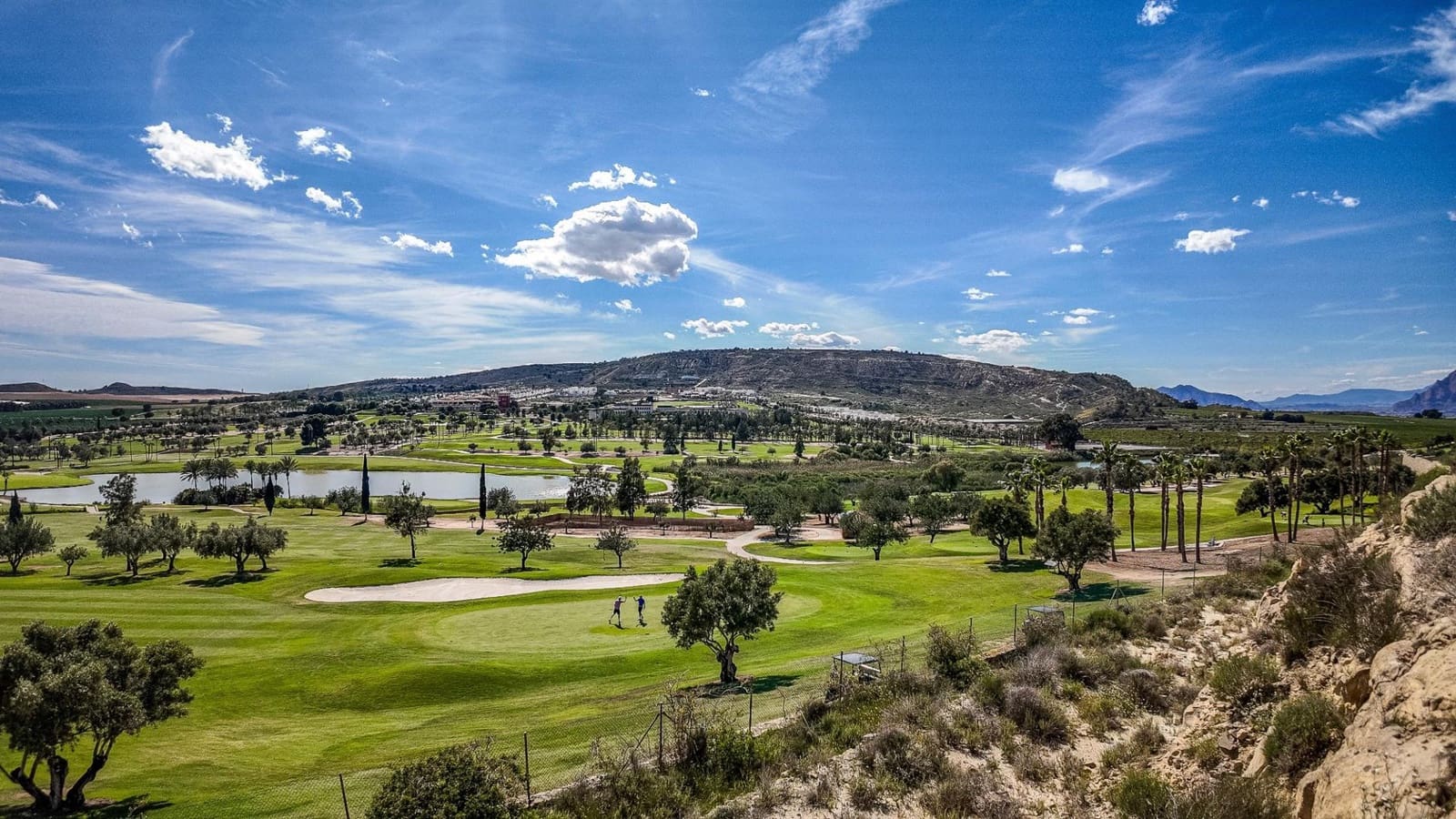 3 soveværelse Lejlighed til salg i Algorfa med garage - € 355.000 (Ref: 9752234)