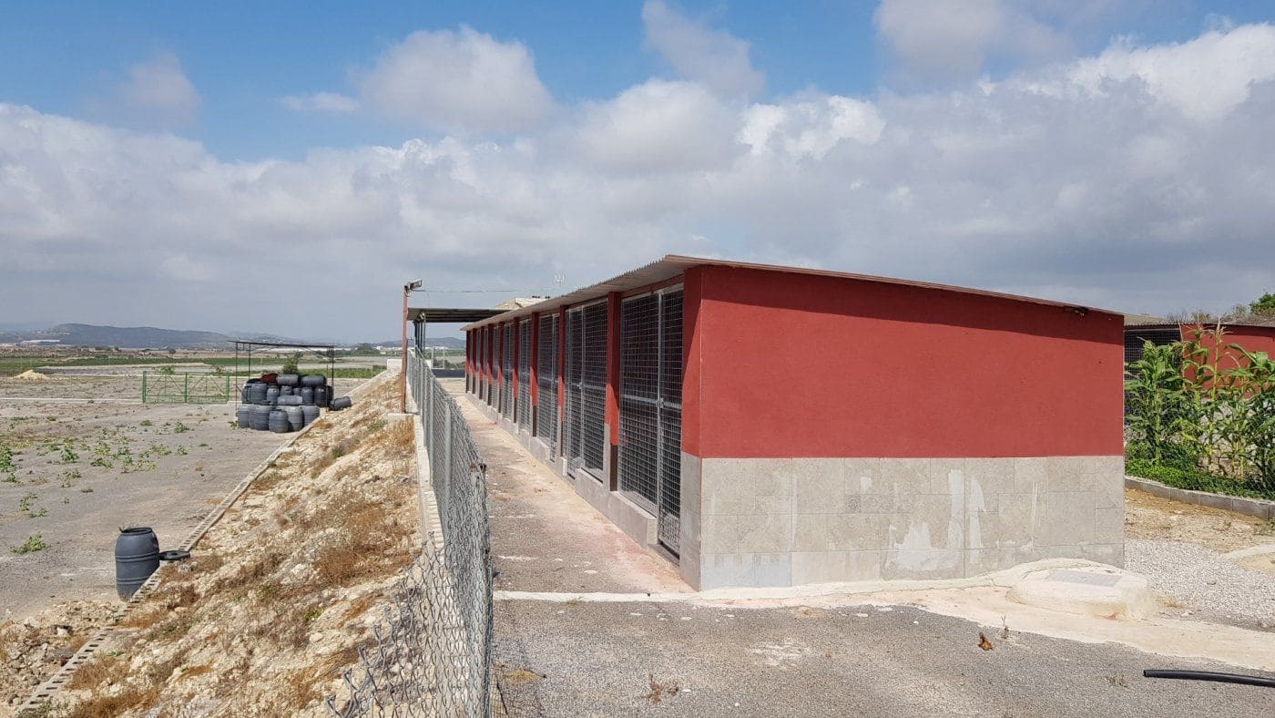 2 sovrum Finca/Hus på landet till salu i Los Montesinos - 380 000 € (Ref: 9780740)