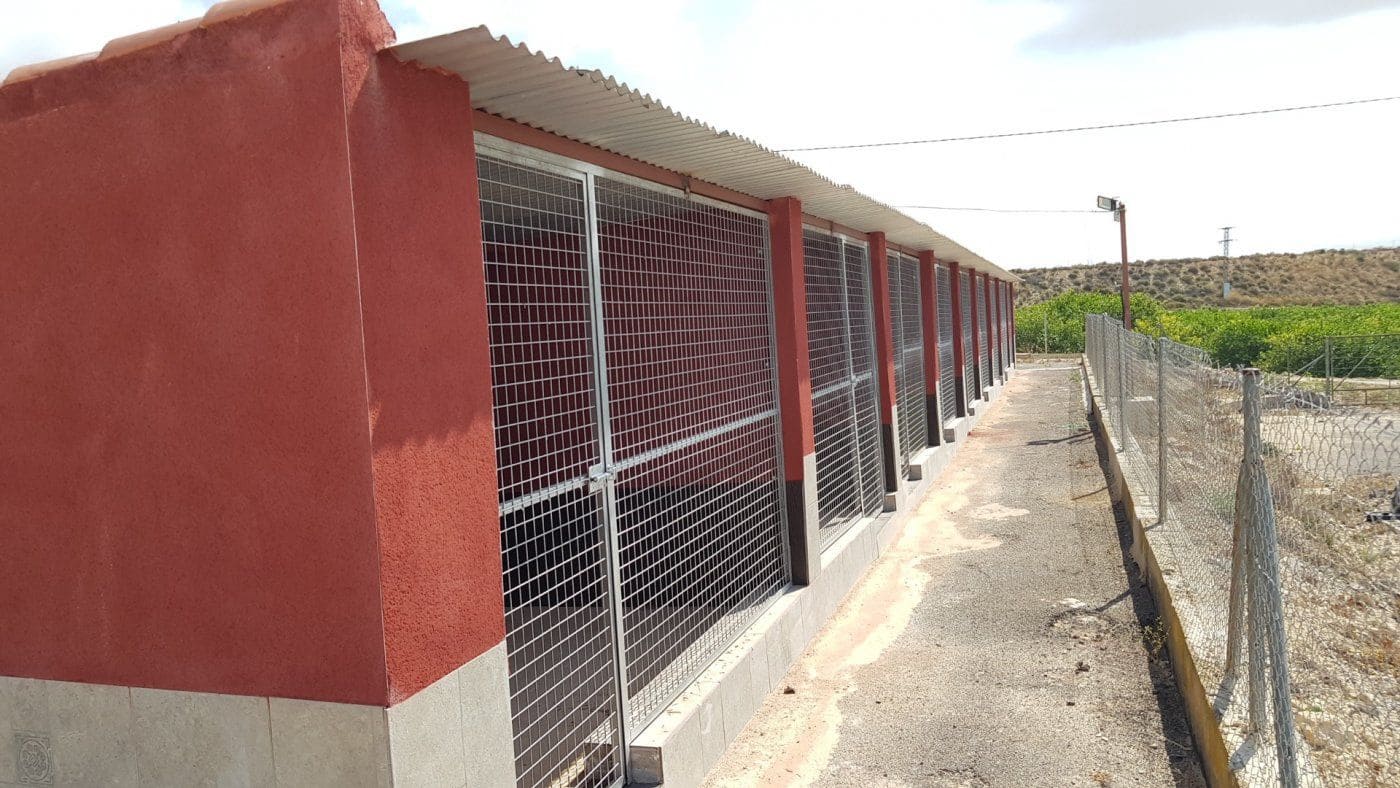 2 sovrum Finca/Hus på landet till salu i Los Montesinos - 380 000 € (Ref: 9780740)